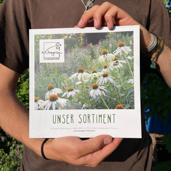 Katalog: extragrünes Sortiment