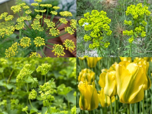 Pflanzpaket: Alles im grünen Bereich